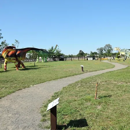 In By Baltic 아파트 드지우노웨크